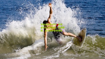 华体会体育APP：若风退役生活新篇章，撸猫带娃，实力演绎养老模式